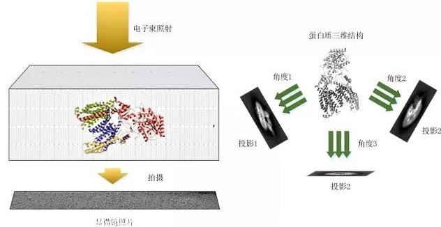 加拿大28开奖