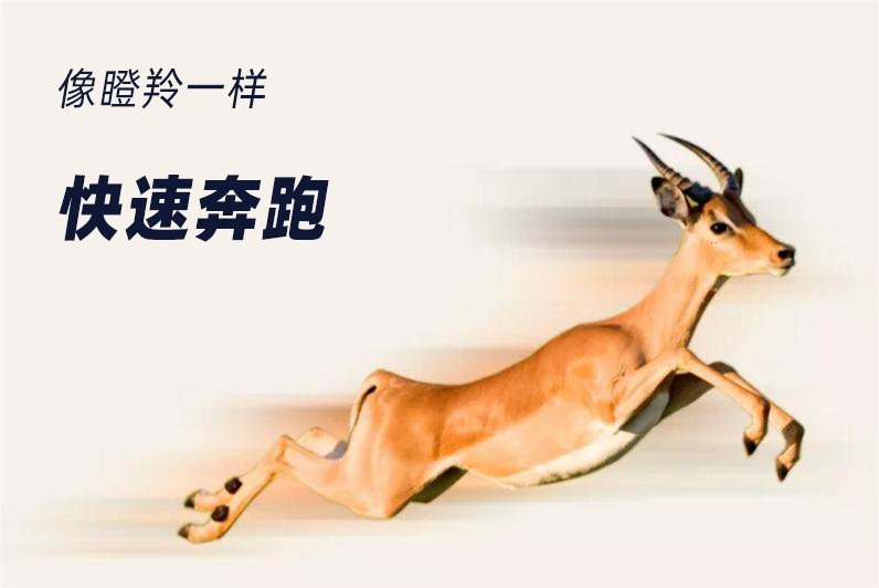 加拿大28开奖